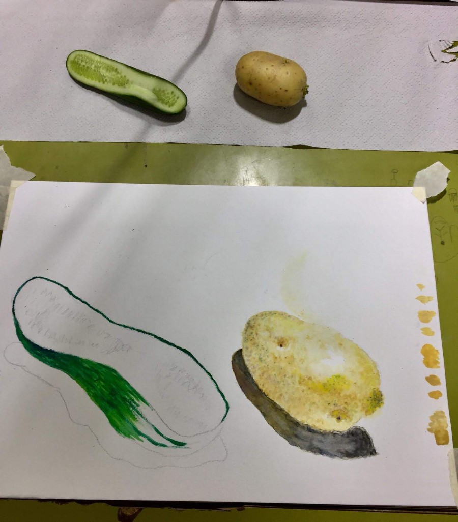 ציור ירקות ופירות (6)
