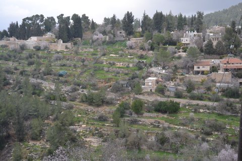 שביל ישראל לאזור ירושלים 7-8.2.19 (59)