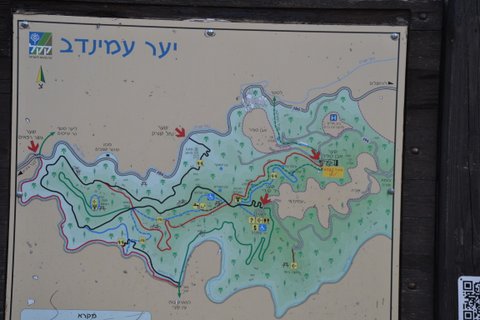 שביל ישראל לאזור ירושלים 7-8.2.19 (131)