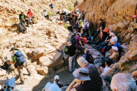מטיילים על שביל ישראל להרי אילת | 13-15.2.20(15 תמונות)